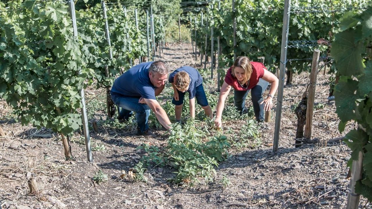 Bei der Arbeit Bei der Arbeit